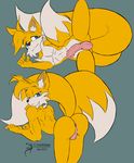  2017 arashidrgn balls canine erection fox fur hair male mammal miles_prower nude penis simple_background sonic_(series) sonic_universe tongue video_games white_fur 