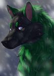  2017 ambiguous_gender black_fur black_nose canine dog feral fur green_fur hauringu mammal pale_eyes solo 