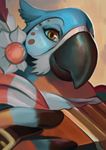  accordion anthro avian bird breath_of_the_wild clothing flower kass_(zelda) looking_at_viewer lunarfowl male musical_instrument nintendo parrot plant portrait scarf smile solo the_legend_of_zelda video_games 