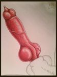  animal_genitalia balls canine foskybleu fur knot male mammal penis precum sheath vein 