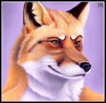  canine foskybleu fox fur male mammal orange_eyes smile 