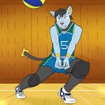  ball clothing fuze gym hair invalid_tag luxio male nintendo pok&eacute;mon sport uniform video_games volleyball 