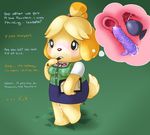  anal anal_penetration animal_crossing anthro blush buttplug canine clothed clothing cute dialogue dildo dog fur isabelle_(animal_crossing) mammal nervous nintendo penetration pussy_juice sex_toy slimefur vaginal vaginal_penetration video_games yellow_fur 