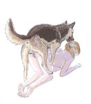  2017 all_fours anatomically_correct anatomically_correct_penis animal_genitalia animal_penis anthro anthro_on_feral balls bestiality canine canine_penis doggystyle female feral from_behind_position fur humanoid knot male male/female mammal penis sex thespoonylynx tongue tongue_out 