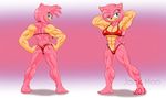  2017 abs amy_rose anthro biceps bikini breasts clothed clothing female front_view hands_behind_head hedgeohg invalid_tag jack_hoo_(artist) mammal model_sheet muscular muscular_female navel pose skimpy smile solo sonic_(series) swimsuit 