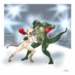  2017 abs alligator balls biceps boxer_(disambiguation) boxing boxing_gloves breasts cat crocodilian duo fangs feline female gexon hand_on_penis invalid_tag lights male mammal muscular muscular_male nipples nude pecs penis pussy reptile ring romantic_couple scalie smile sport star teeth 