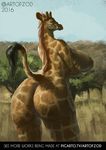  2017 anthro bhavfox big_breasts big_butt breasts butt female giraffe invalid_tag looking_back mammal nipples nude pussy raised_tail savanna side_boob tree 