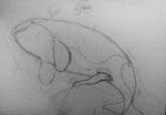  animal_genitalia big_penis cetacean cum cum_on_ground erection feral fklow genital_slit lying male mammal marine monochrome on_side open_mouth penis sketch slit solo sweat tapering_penis traditional_media_(artwork) whale 