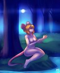  anthro areola blonde_hair box-cat breasts female forest fur hair hi_res lake lynn_white mammal moon mouse nude rodent sitting smile solo star tree 