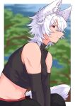  1girl alternate_costume animal_ear_fluff animal_ears black_gloves black_pants black_shirt blurry breasts closed_mouth commentary_request crop_top cropped_shirt depth_of_field elbow_gloves gloves grey_hair highres inubashiri_momiji large_breasts looking_at_viewer midriff min.k missing_headwear navel pants red_eyes shirt short_hair sleeveless sleeveless_shirt sleeveless_turtleneck solo tail touhou tree turtleneck turtleneck_shirt wolf_ears wolf_girl wolf_tail 