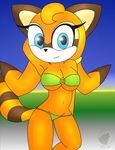  anthro armpits big_breasts bikini black_nose breasts clothing cute dreameclipsewolf female fur looking_at_viewer mammal marine_the_raccoon raccoon smile solo sonic_(series) standing swimsuit video_games 