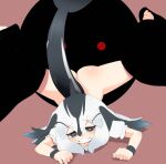  1girl ass black_hair blowhole blush bottomless bow bowtie cellien_(kemono_friends) cetacean_tail clenched_teeth commentary_request dolphin_girl dorsal_fin dress fins fish_tail grey_bow grey_bowtie grey_hair hair_between_eyes head_fins highres imminent_rape kemono_friends kemono_friends_3 ki94959437 legs_apart long_hair multicolored_hair pacific_white-sided_dolphin_(kemono_friends) red_eyes short_sleeves spread_legs tail tearing_up teeth white_dress white_hair wide_spread_legs 