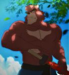  1boy abs absurdres animal_ears bakemono_no_ko baodory bara bear_boy bear_ears belt biceps black_belt blue_pants blue_sky closed_mouth cloud cloudy_sky collarbone english_commentary falling_leaves fang fang_out furry furry_male highres holding holding_sword holding_weapon kumatetsu leaf looking_at_viewer male_focus muscular muscular_male pants pectorals red_fur sheath sheathed sky sword topless_male tree under_tree weapon 
