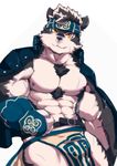  anthro better_version_at_source biceps bulge canine horkeukamui male mammal muscular nipples simple_background solo tokyo_afterschool_summoners white_background wolf 阿拉斯加猫 