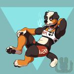  2017 4_toes anthro athletic bernese_mountain_dog bitley breasts canine clothed clothing collar dog female green_eyes mammal small_breasts smoking solo toes 
