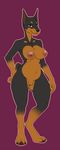  anthro breasts canine doberman dog female looking_at_viewer mammal nipples nude pregoo pussy simple_background slightly_chubby solo 