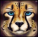  ambiguous_gender blue_eyes cheetah feline feral foskybleu fur mammal 