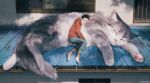  1boy animal barefoot black_hair blue_shorts building cat closed_eyes closed_mouth commentary_request fluffy hood hoodie lying male_focus monokubo no_shoes on_side original oversized_animal red_hoodie rooftop shadow shorts sleeping solo tree_shade twitter_username window 