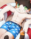  anthro black_fur blush bulge calico_cat cat clothed clothing cub draw_strings feline fur green_eyes male mammal navel orange_fur simple_background sitting solo swimshorts topless unrealplace whiskers white_fur young 