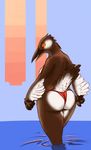  anthro avian big_butt bikini bird breasts butt clothed clothing copperroach feathers lanya long_beak looking_back magpie rear_view red_eyes simple_background swimsuit topless water 