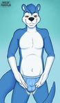  4_fingers anthro black_nose blue_fur briefs brown_eyes bulge clothing cub fur island_(character) male mammal morhlis mustelid navel otter simple_background solo standing teenager underwear white_fur young 