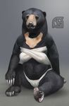  anthro bear breasts claws cosmiclife female fur looking_at_viewer mammal multicolored_fur pinup pose slightly_chubby solo sun_bear two_tone_fur 