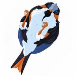  2016 ambiguous_gender avian bird black_feathers blue_feathers dnk-anais feathers feral looking_at_viewer lying on_back orange_feathers solo white_feathers 