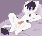  animal_genitalia animal_penis balls black_hair blush canine canine_penis child claralaine cub dog erection fur hair knot littleorion mammal open_mouth penis purple_eyes purple_hair solo white_fur young 