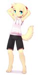  anthro arm_wear black_nose blue_eyes canine clothed clothing crunchobar cub dog fur hands_behind_head hoodie male mammal shorts simple_background solo standing tan_fur teenager young 