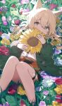  1girl animal_ears arknights blonde_hair commentary_request dog_ears dog_girl field flower flower_field green_eyes green_jacket hair_between_eyes highres holding holding_flower infection_monitor_(arknights) jacket long_sleeves looking_at_viewer lying medium_hair nicn0m on_back open_clothes open_jacket podenco_(arknights) see-through_clothes see-through_skirt shirt skirt solo sunflower thigh_strap white_flower white_shirt yellow_flower 