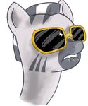  eyewear female feral friendship_is_magic meme my_little_pony reaction_image solo source_request sunglasses unknown_artist what zecora_(mlp) 