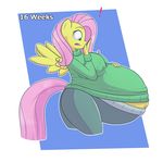  ! belly big_belly big_breasts breasts clothing equine feathered_wings feathers female fluttershy_(mlp) friendship_is_magic funble hair horse hyper hyper_pregnancy long_hair mammal my_little_pony navel pegasus pink_hair pony pregnant solo sweater wings yellow_skin 