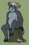  anthro anthrofied balls bovine cattle flaccid hooved_fingers horn looking_at_viewer male mammal navel nipples nude partially_retracted_foreskin penis polarpandemonium rodeo_(animal_crossing) sitting slightly_chubby smile solo tree_stump uncut 