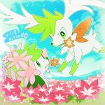  blue_sky dated flower flower_in_mouth green_eyes highres looking_at_another no_humans pink_flower pokemon pokemon_(creature) runachikku shaymin shaymin_(land) shaymin_(sky) sky twitter_username 