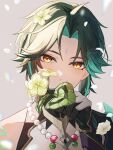  1boy ahoge aqua_hair artist_name basilian_31 black_gloves black_hair closed_mouth diamond-shaped_pupils diamond_(shape) eyeshadow facial_mark flower forehead_mark genshin_impact gloves gold_trim grey_background hair_between_eyes hair_flower hair_ornament hand_up highres holding holding_flower jewelry leaf looking_at_viewer makeup male_focus mandarin_collar multicolored_hair necklace pearl_necklace red_eyeshadow shirt short_hair simple_background single_bare_shoulder sleeveless sleeveless_shirt solo standing symbol-shaped_pupils two-tone_hair upper_body white_shirt xiao_(genshin_impact) yellow_eyes yellow_flower 