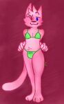 anthro bikini blue_eyes bunirabbit clothed clothing domestic_cat felid feline felis fur girly green_clothing heterochromia male mammal partially_clothed paws pink_body pink_fur red_eyes smile smiling_at_viewer smirk smirking_at_viewer solo swimwear tail