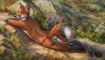 akineza anthro big_butt bottomwear bruma_(rinzazen) butt canid canine clothing crossed_legs fox loincloth looking_at_viewer male male/male mammal raised_tail resting_on_belly solo tail