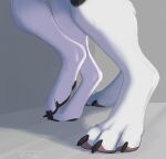 4_toes ambiguous_gender anthro canid canine claws digitigrade duo feet foot_focus fur hi_res lady-darkstreak mammal pawpads standing toes