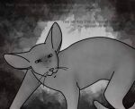 2015 abstract_background ambiguous_gender digital_drawing_(artwork) digital_media_(artwork) domestic_cat english_text felid feline felis feral frown greyscale jasper_(serenity) keaton_henson lyrics male_(lore) mammal monochrome narrowed_eyes oriental_shorthair sebdoggo serenity_(comic) solo squint standing tail text whiskers