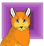 2015 abstract_background aliasing ambiguous_gender black_nose black_whiskers bust_portrait digital_drawing_(artwork) digital_media_(artwork) domestic_cat felid feline felis feral flat_colors fur looking_at_viewer low_res mammal orange_body orange_fur portrait purple_eyes sebdoggo solo whiskers white_inner_ear yellow_body yellow_fur