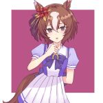  1girl animal_ears blush bow bowtie breasts brown_eyes brown_hair commentary_request hair_between_eyes hair_ornament highres horse_ears horse_girl horse_tail looking_at_viewer multicolored_hair open_mouth pinwheel pinwheel_hair_ornament puffy_short_sleeves puffy_sleeves purple_bow purple_bowtie purple_shirt purple_skirt sailor_collar sailor_shirt school_uniform shibamochi_(rain178straw) shirt short_hair short_sleeves skirt solo streaked_hair summer_uniform tail tracen_school_uniform umamusume white_hair white_sailor_collar white_skirt yaeno_muteki_(umamusume) 