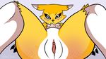  black_nose blue_eyes bottom_view butt chest_tuft clitoris digimon female fur looking_at_viewer pussy pussy_juice renamon spank_marks spread_legs spreading tuft villain_choico white_fur yellow_fur 