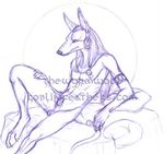  anubis balls bed canine deity ear_piercing jackal mammal paws piercing pillow sketch the_wormwood watermark 
