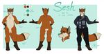  anthro canine clothed clothing featureless_crotch fox fur hair male mammal model_sheet nude redpixie slightly_chubby smile solo standing 