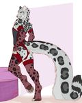  2017 anthro butt cat claws clothed clothing corset crossdressing darkomi digital_media_(artwork) feline fur girly grey_fur kieran legwear leopard lingerie looking_at_viewer male mammal paws snow_leopard stockings thigh_highs toe_claws toes tongue 