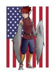  avian bird breasts clothed clothing eagle eyewear female fully_clothed goggles hair harpy humanoid monster_girl_(genre) short_hair solo standing stars_and_stripes thundragon united_states_of_america wings 