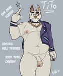  2016 anthro balls bull_terrier canine captain_nikko dog ear_piercing facial_piercing humanoid_penis male mammal middle_finger nose_piercing nose_ring penis piercing solo tito_(thelastlonewolf) uncut 