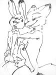  black_and_white breasts canine disney duo featureless_breasts female fox judy_hopps knot lagomorph line_art male male/female mammal monochrome naughty_face nick_wilde nontoxo open_mouth pen_(artwork) penetration rabbit simple_background sketch traditional_media_(artwork) vaginal vaginal_penetration white_background zootopia 