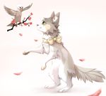  avian beak bird bow cat duo feathered_wings feathers feline feral fur green_eyes grey_fur mammal pawpads paws reysi simple_background smile white_background wings 