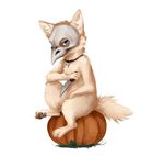  4_toes blue_eyes canine digitigrade dog feral food fruit holding_object holding_weapon knife looking_at_viewer mammal mask pawpads pumpkin reysi simple_background sitting solo toes weapon white_background 